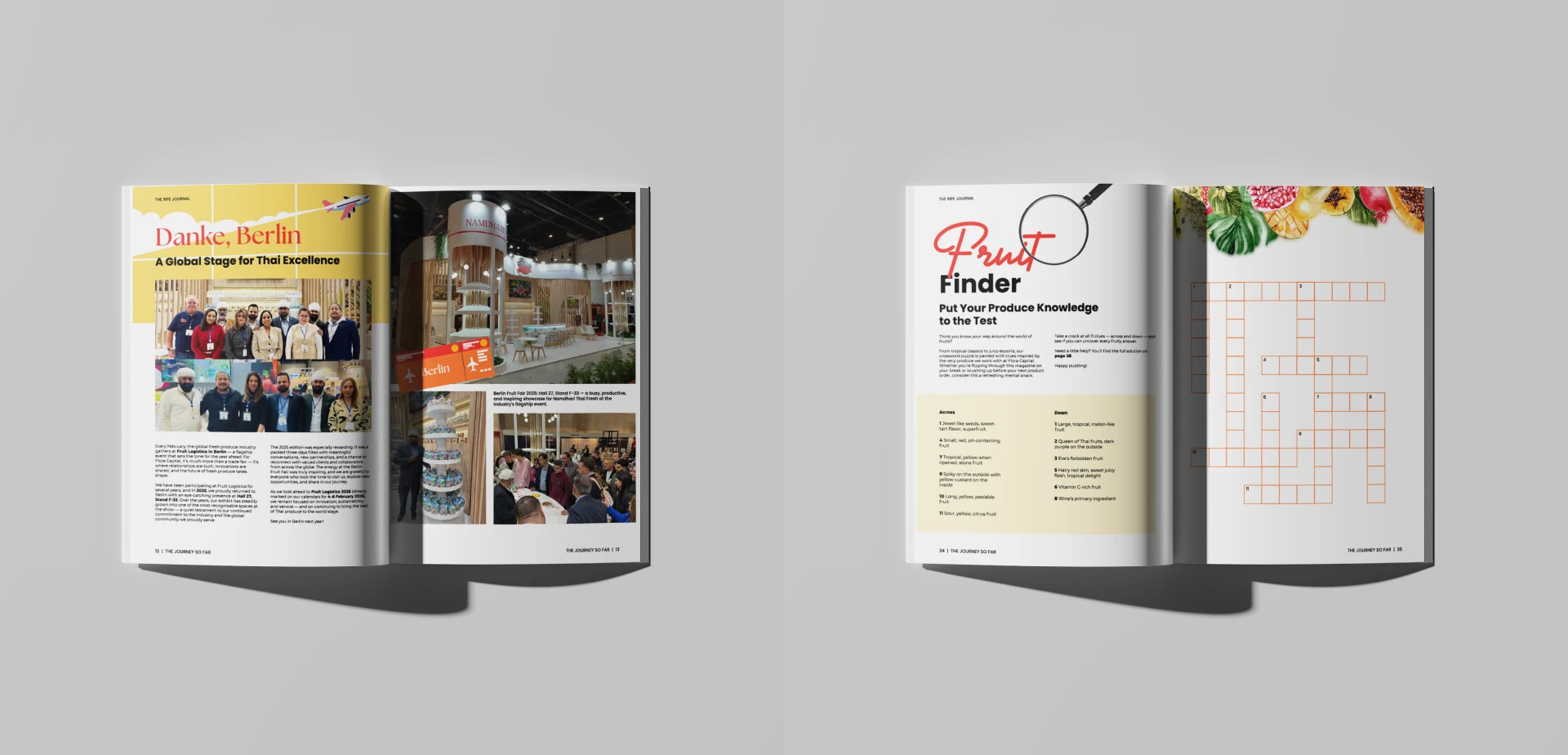 Flora Capital — Magazine Design Issues, spread 2 of 5
