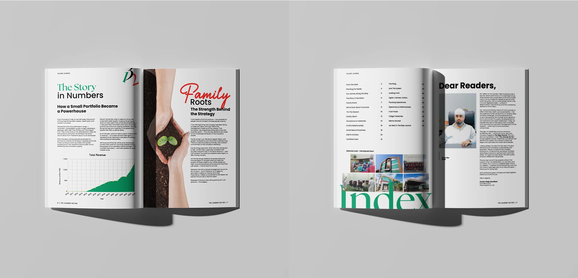 Flora Capital — Magazine Design Issues, spread 3 of 5