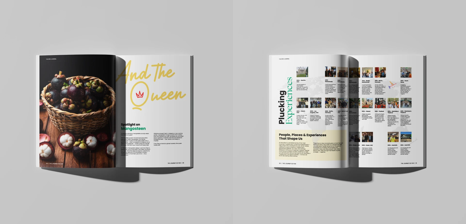 Flora Capital — Magazine Design Issues, spread 4 of 5